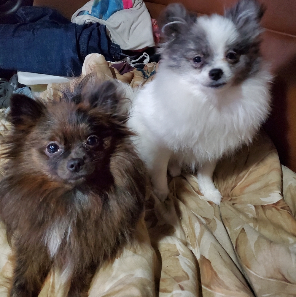 Meet your Posher, Lori